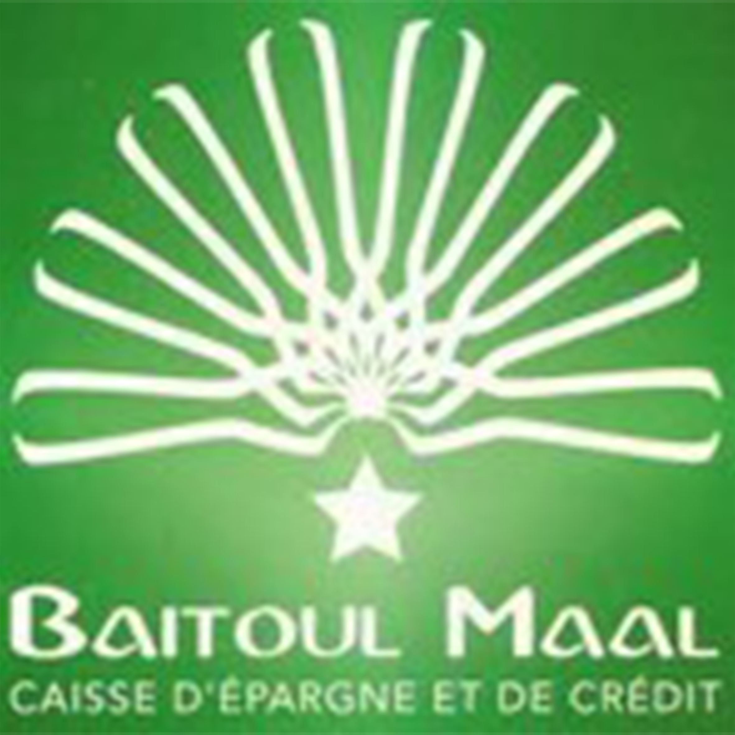 Batoul Maal