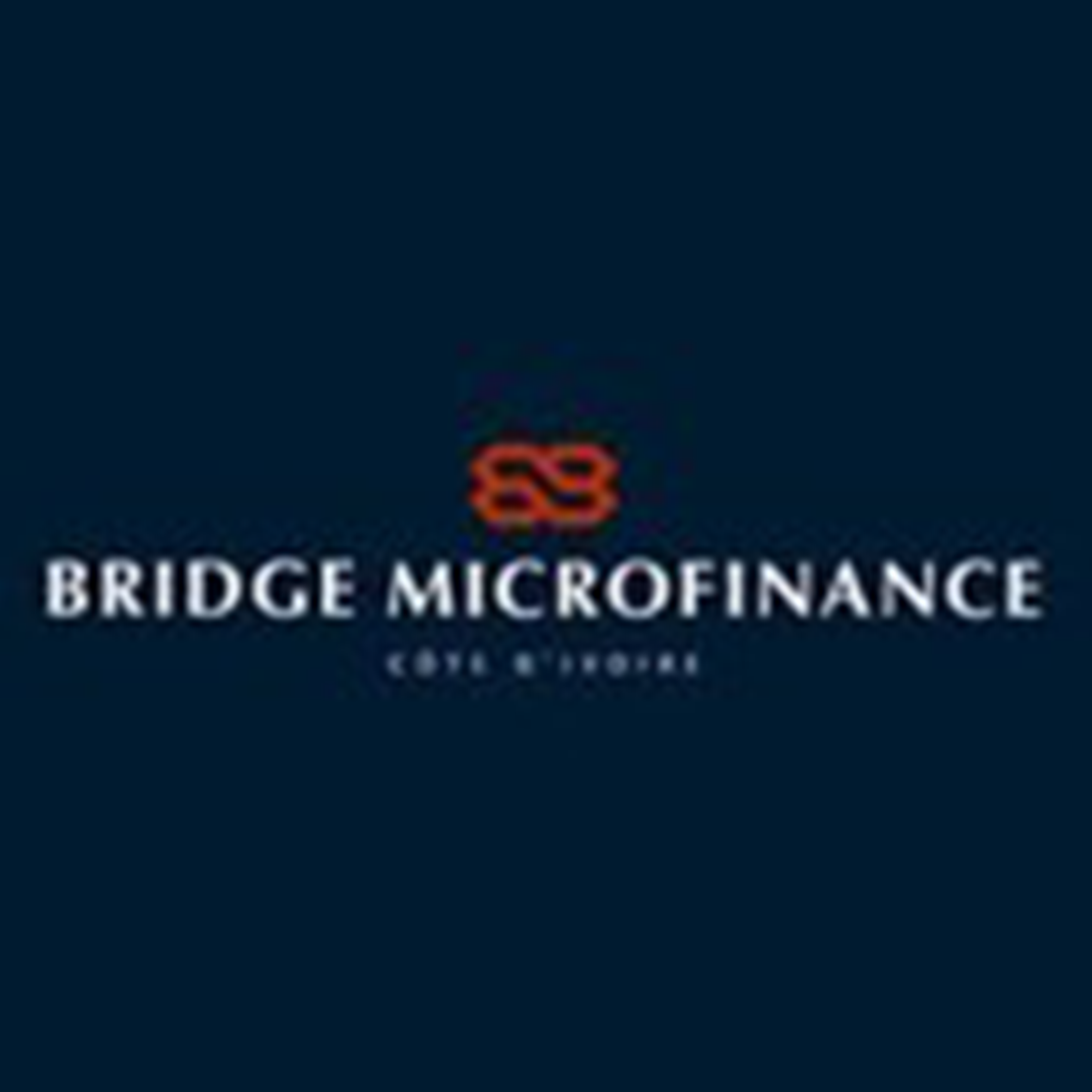 Bridge Microfinance