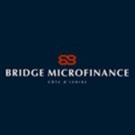 bridge_microfinance